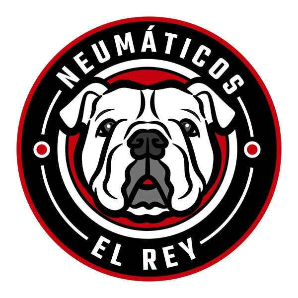 NEUMATICOS EL REY